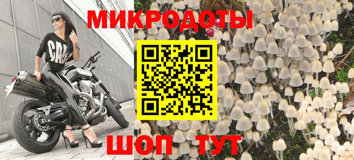 Владимир  Псилоцибиновые грибы ЛСД  Галлюциногенные грибы ЛСД  Вход с VPN 