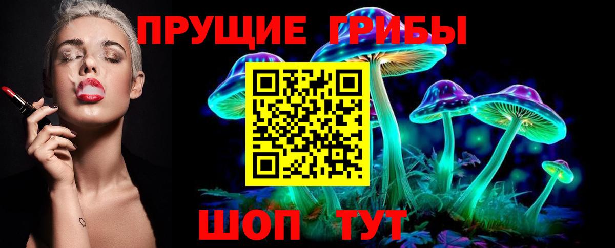 Галлюциногенные грибы прущие грибы Владимир